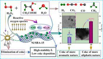 H2O2 Reactor 的图像结果