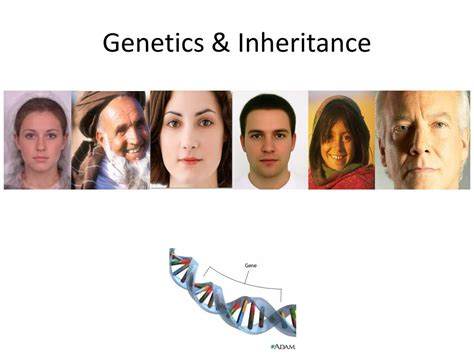 Image result for Difference Between Genetics or Inheritance