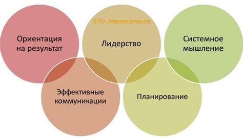 Компетенции персонала - виды и примеры компетенций, разработка и внедрение
