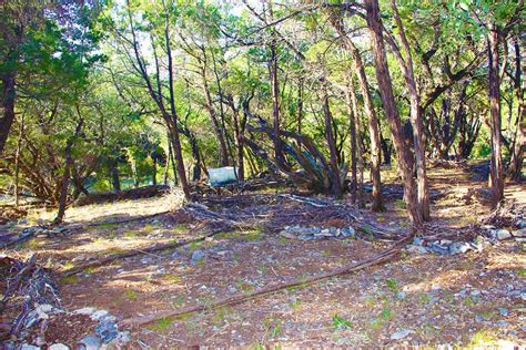 Oak Hill Austin Texas Art Real Estate And News