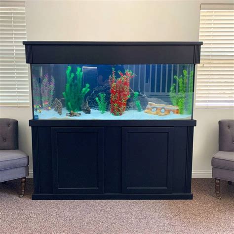 100 Gallon Freshwater Aquarium - Aquarium Installation and Maintenance ...
