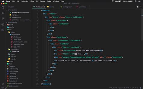 Visual Studio Code for Windows 的图像结果