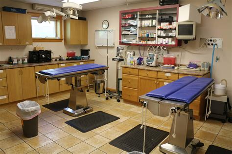 Broadway Veterinary Clinic - Veterinarians Bangor Maine