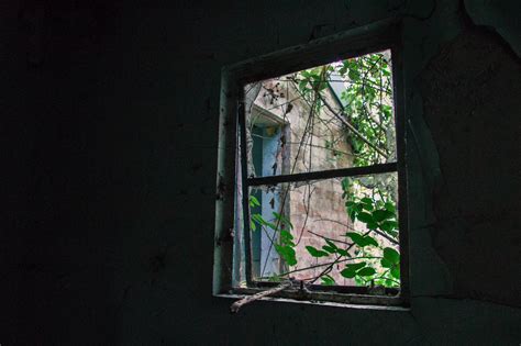 Image result for DIY Window Replacement