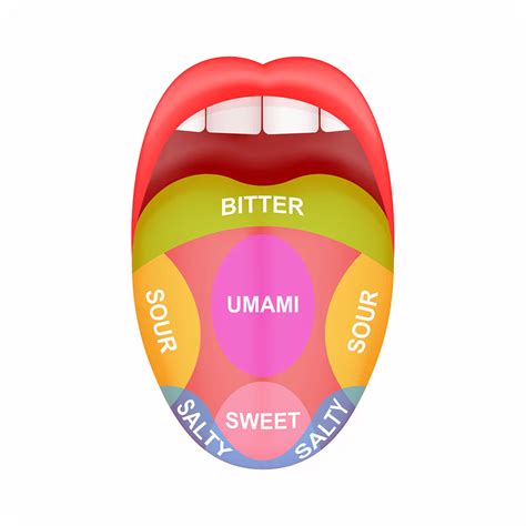 Bagaimana Bagian Lidah dan Rasa Dipengaruhi Diet Modern?
