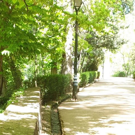 BOSQUE DE LA ALHAMBRA (2026) All You Need to Know BEFORE You Go (with ...