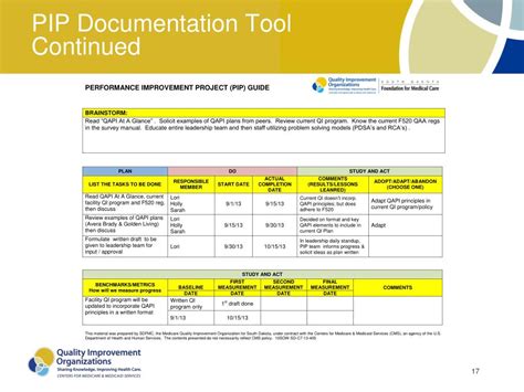 Image result for QAPI PIP Template