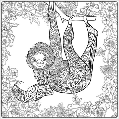 Image result for Sloth Coloring Pages