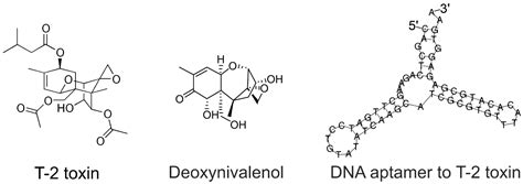 A Surface-Enhanced Raman Spectroscopy-Based Aptasensor for the ...