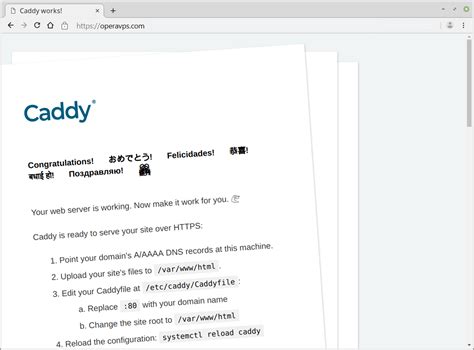 Image result for Caddy Server Set Up Linux