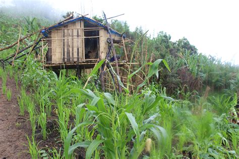 Developing awareness and skills of the land users on measures of Jhum intensification ...
