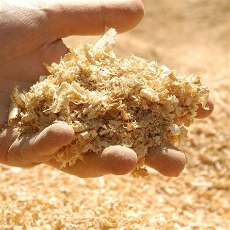 Tree to Paper Process 的图像结果