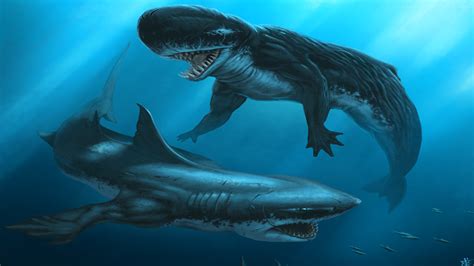 Megalodon Vs Livyatan but cursed | Fandom