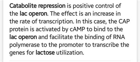 Describe in detail catabolite repression in lac operon. - Brainly.in