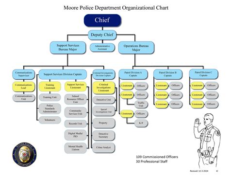 Image result for Police Command Structure