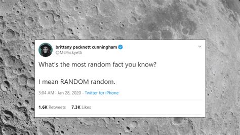 Image result for Most Random Facts