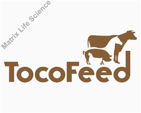 Vitamin E Powder Manufacturer,Supplier & Exporter in Aurangabad