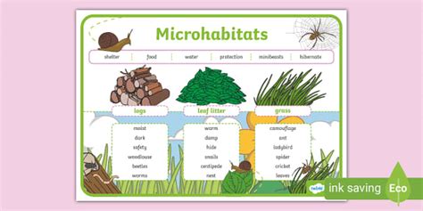 Image result for Microhabitat Examples