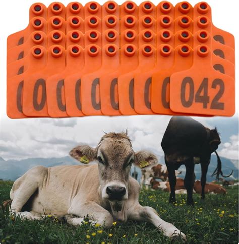 Amazon.com: Cattle Ear Tags 100 Pcs 1-1000 Livestock Ear Tags Sheep ...