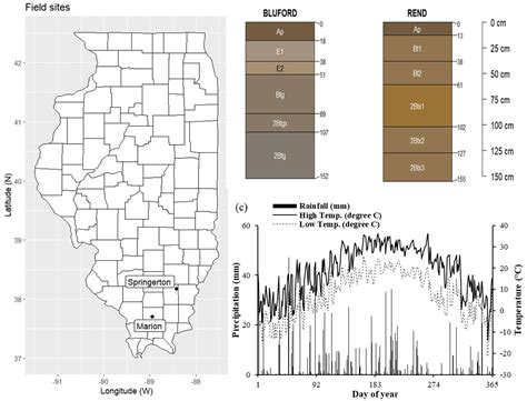 Influence of Annual Ryegrass (Lolium multiflorum) as Cover Crop on Soil ...