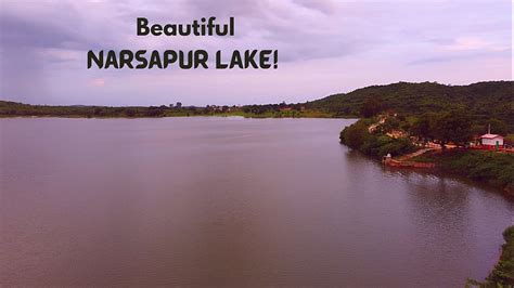 Urban Forest Retreat | Urban Abode