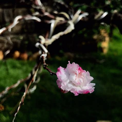 Thị Tran Nam Ban Tourism (2023): Best of Thị Tran Nam Ban, Vietnam ...