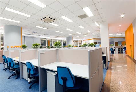 Office Deep Cleaning Services: The Ultimate Guide - OctoClean