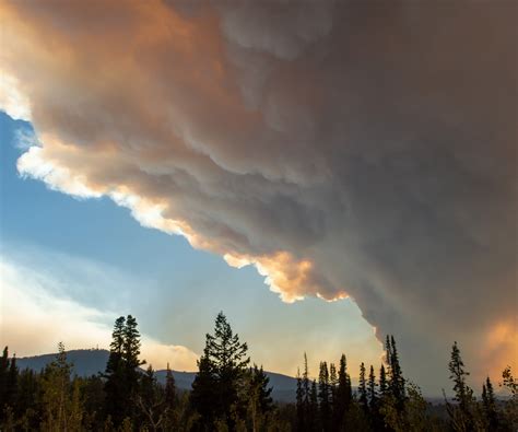 Wildfire Map Spotlight: Elk Fire, Wyoming