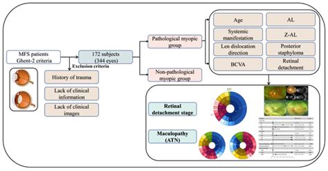 What Should We Pay More Attention to Marfan Syndrome Expecting Ectopia ...