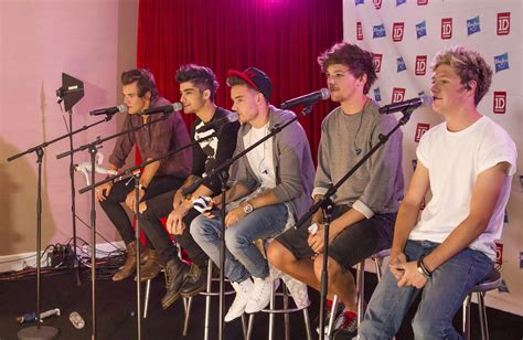 Image result for One Direction Concert Fan Project