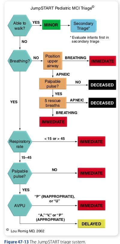 Jump Start Triage Algorithm 的图像结果