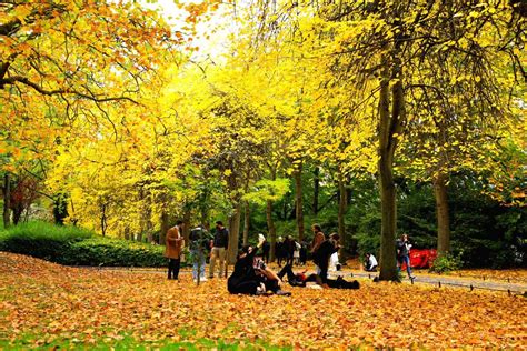 About Sharad Ritu | Sharad Ritu 2026 date