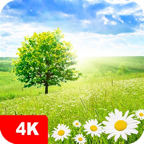 Nature Wallpapers and Backgrounds apps 4k - App on Amazon Appstore