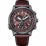 Citizen Promaster Eco drive Brown Dial With Leather Strap Men's Watch ...
