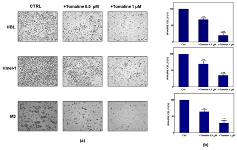 Tomatine Displays Antitumor Potential in In Vitro Models of Metastatic ...