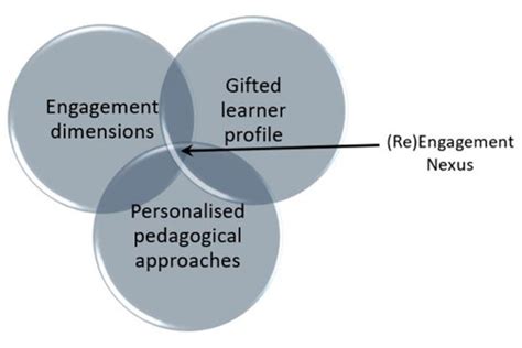 Conceptualising Gifted Student (Dis) Engagement through the Lens of ...
