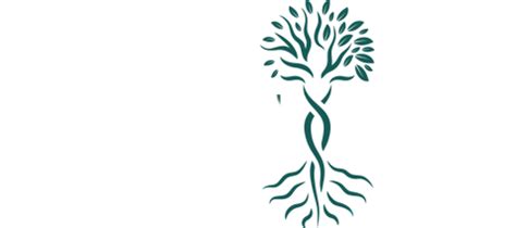 Heilung.com – Online-Kurse die wirken!