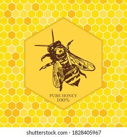 Honey Bee Business Card Template 的图像结果