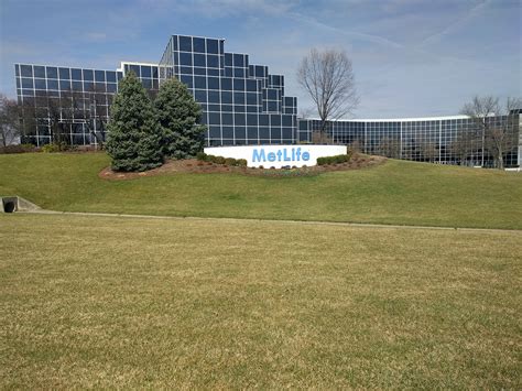 Image result for MetLife Insurance Phone Number