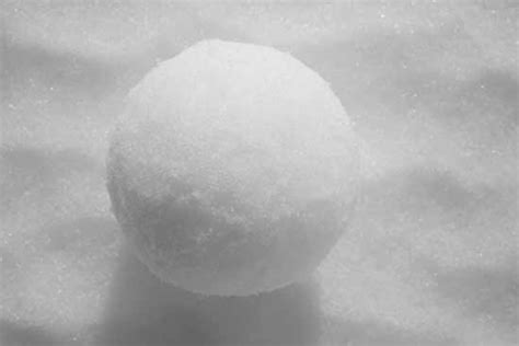 Snowball Sampling 的图像结果