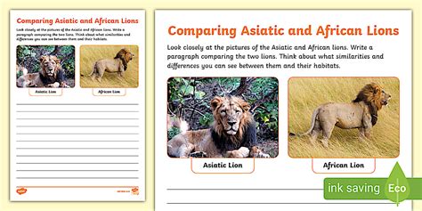 Comparing Asiatic and African Lions Worksheet