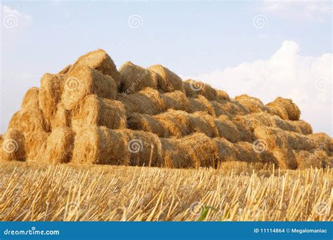Image result for Haystack First Day