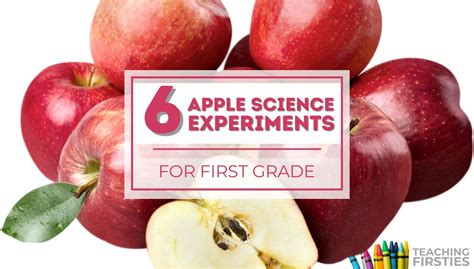 Image result for First Grade Science Experiments