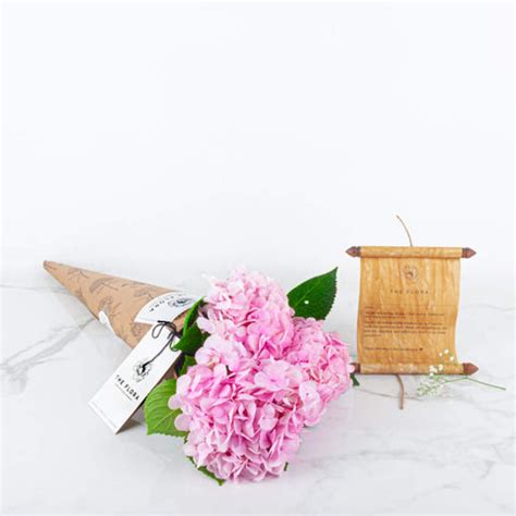 What Flowers Are Usually Sent Or Given On Valentine's Day? 12 Choices