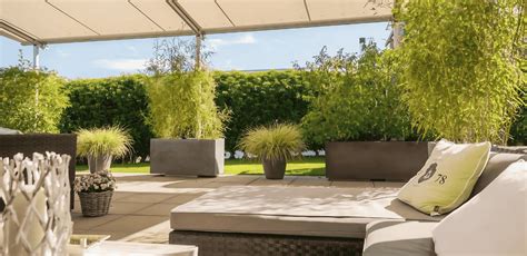 Image result for Backyard Using Privacy Screens