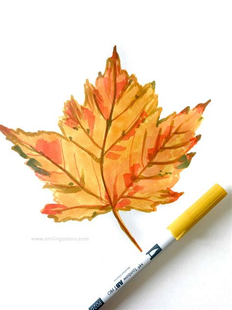 Fall Maple Leaf Drawing