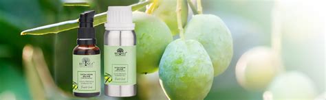 Buy Devinez Olive Cold-Pressed Oil (Jaitun Ka Tel) - 100ml, (NABL ...