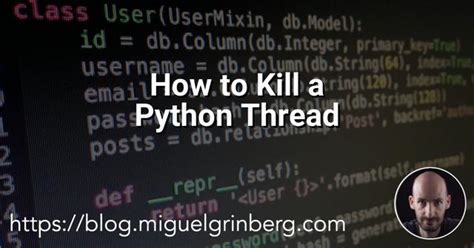 Killling a Python 的图像结果