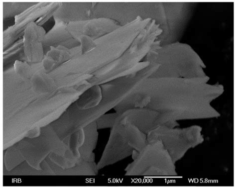 The Impact of In Situ Polymerization Conditions on the Structures and ...