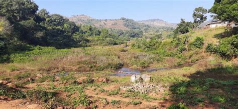 Government land is unsafe: ସରକାରୀ ଜମି ଅସୁରକ୍ଷିତ: ଭୁବନେଶ୍ବରରେ ୪୯୮ ଏକର ...